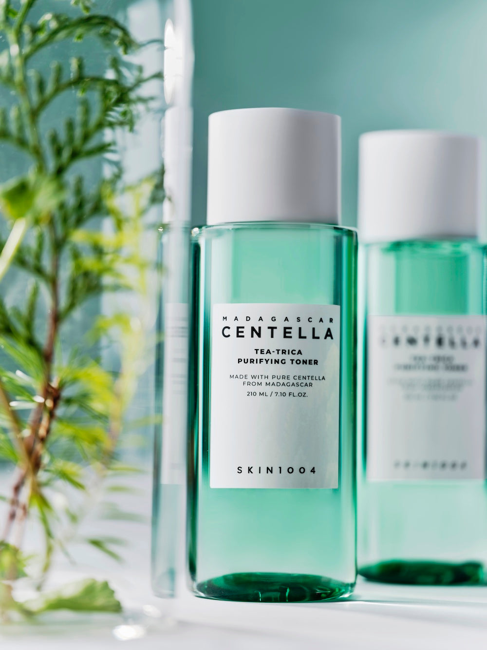 Toner & Lotion